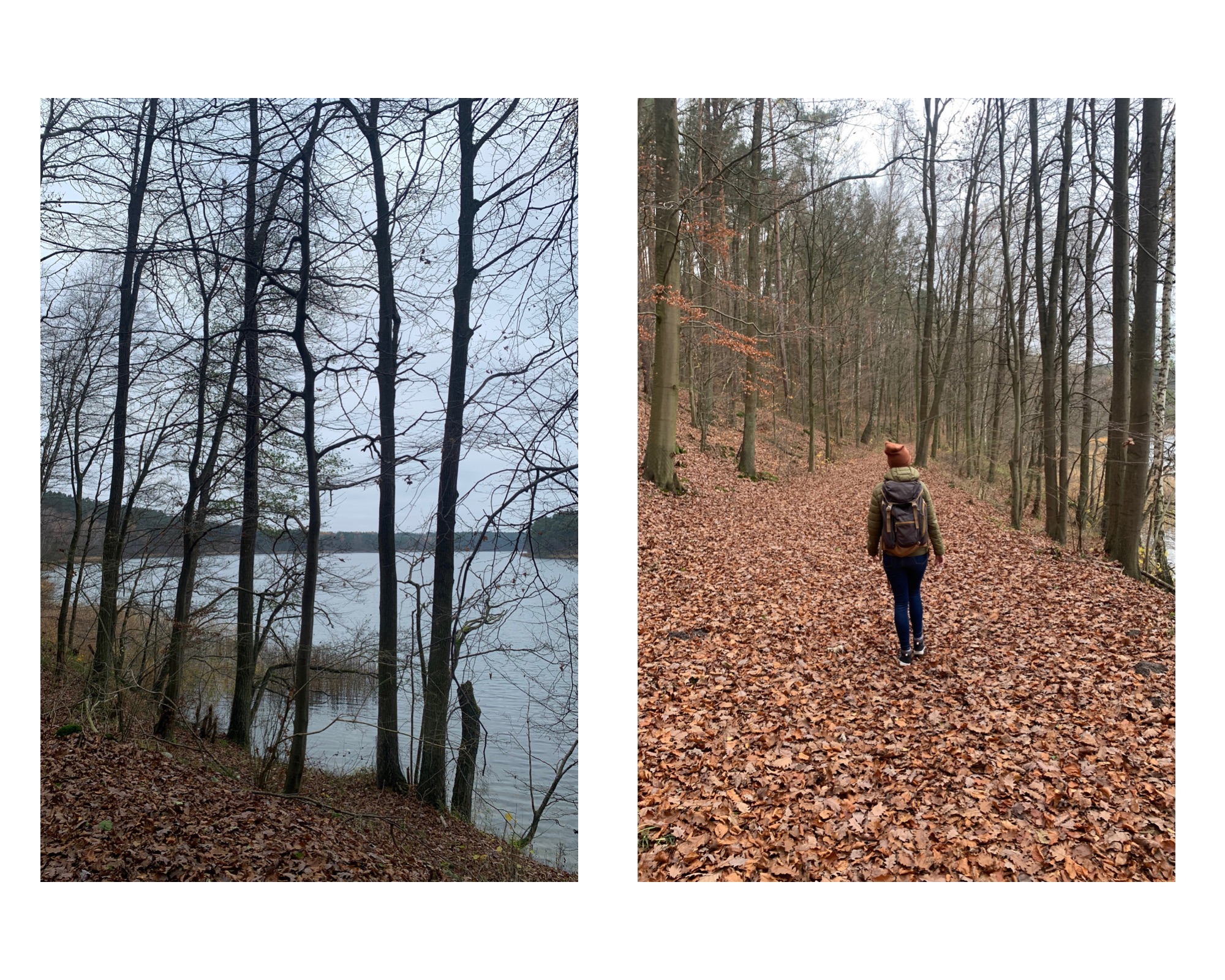 brodnicki-park-krajobrazowy-poprostutuiteraz-pl